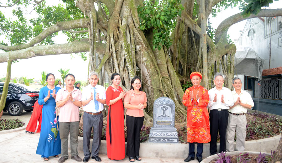 C&acirc;y[-]cổ[-]thụ[-]đầu[-]ti&ecirc;n[-]của[-]x&atilde;[-]B&igrave;nh[-]Định,[-]tỉnh[-]Hưng[-]Y&ecirc;n[-]được[-]c&ocirc;ng[-]nhận[-]C&acirc;y[-]Di[-]sản[-]Việt[-]Nam
